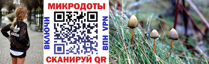 Купить закладки  Балашов  Псилоцибиновые грибы мицелий 